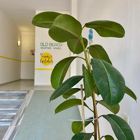 شقة Ila13 Apartament *